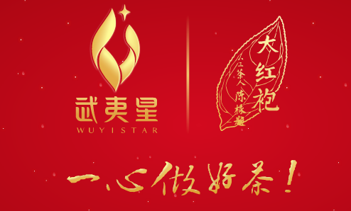 武夷星二維碼溯源系統開發