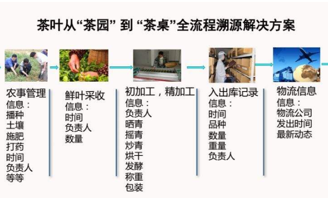茶葉加工流程溯源系統解決方案