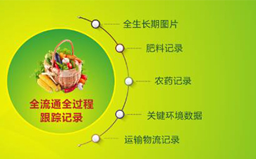 堅果有了追溯系統,讓生產過程透明化